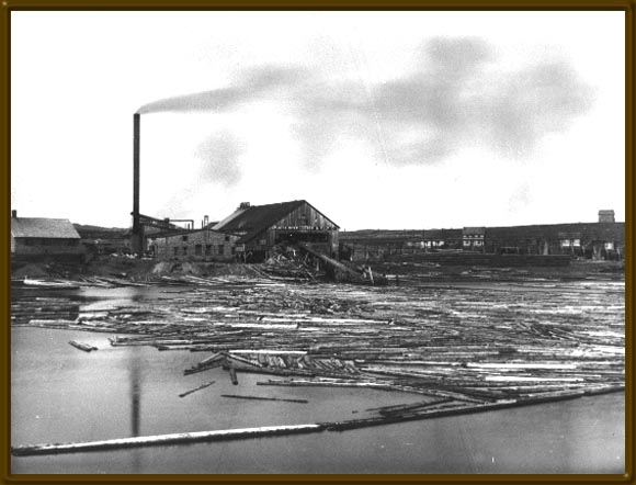 [Exploits River Lumber and Pulp Company, Botwoodville, circa 1880]